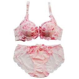 黛安芬內衣價格指南及比價攻略 460-500元商品精選與51比購返利網評測