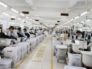 內衣廠家為何信賴波而朵 品質、創新與服務的三重保障