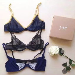 單品推薦 這幾個(gè)顏值逆天的內(nèi)衣品牌，你都穿過嗎？